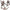 Warhammer 40000: World Eaters - Jakhals (2)